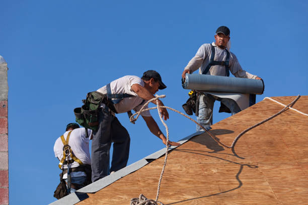 Best Storm Damage Roof Repair  in Wilson, PA